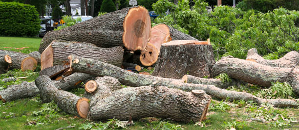 Best Utility Line Clearance  in Ballard, UT